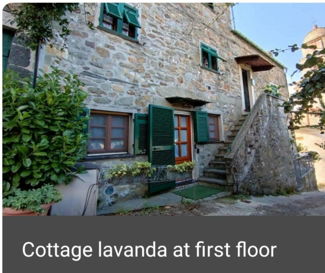 Cottage Lavanda Леванто Номер фото